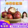 Seleção Premium Pera Arco-Íris Rara de Shaanxi, disponível para entrega 3/ 2,5kg Grandes, doces, crocantes, peras frescas da estação