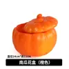 Calabaza Murciélago Diablo Araña Cornamenta Diadema Bola Ondulada Abrazo Cubo Paquete de Materiales Floristería Materiales Florales
