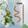 Venta caliente transfronteriza forma de estaca de coco flexible soporte para plantas de musgo marco de soporte para plantas eneldo verde tortuga bambú soporte para jardinería
