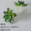 Wow Suculentas Simuladas Personalizadas, Plantas Verdes, Plantas Decorativas en Maceta, Cactus Muebles para el Hogar, Suculenta Falsa DIY Bonsái