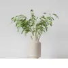 Flores Verdes Eternas, Atmosfera de Primavera, Buquês para Loja, Decoração de Roupas Femininas, Materiais Florais de Galhos Secos, Cena de Arranjo Floral para Recepção