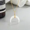 Colar Lua com Concha do Mar Novo 2022: Exquisita Corrente para Clavícula de Luxo Leve Estilo Francês com Toque de Alto Padrão, Design Exclusivo