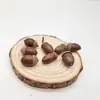 Casca de Bolota Natural Casca de Fruta Seca Enfeites de Paisagem Adereços para Fotografia Enfeites de Janela Decorações de Natal Pingente