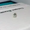 Coleção de Unhas de Osso de Ouvido de Aço Titânio Verde Menta Transparente Pequenas Frescas Microcravejadas com Zircônia Doces Brincos de Trevo de Quatro Folhas