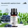 Mirtilo Mirtilo Óleo Essencial Único Óleo Essencial Frutado Aromaterapia Perfume O Em Car Óleo de Fragrância Amostra de 10ml