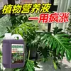 Solución Nutritiva para Plantas, Universal de Una Pieza Envío Directo Flor y Planta Verde Fertilizante Hidropónico, Flor y Planta Verde del Hogar Fertilizante para Flores