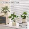 Plantas Verdes Artificiales, Flores Falsas, Flores Artificiales, Plantas Pequeñas de Escritorio en Maceta, Adornos Decorativos, Estanterías, Plantas Verdes Artificiales, Accesorios de Fotografía