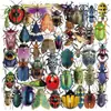 50 Pegatinas Doble Transparencia de Mascotas Insectos para Decoración de Cuaderno Materiales DIY Decoración de Vaso de Agua Funda de Teléfono Móvil Collage Impermeable