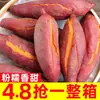 Batatas Dulces Frescas 10 libras Batatas Recién Desenterradas Castañas Batatas Horneadas Batatas de Corazón Dulce Granja de Tierra Arenosa Batatas Cultivadas en Casa Batatas Pequeñas Fragantes