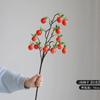 Fruta de simulación, pato viejo, caqui, decoración de sala de estar, estilo chino, decoración de recepción de hotel, accesorios de tiro, fruta de simulación