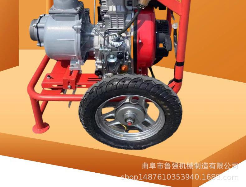 淘宝天猫黄色小清新风格龙眼水果详情页模板_02