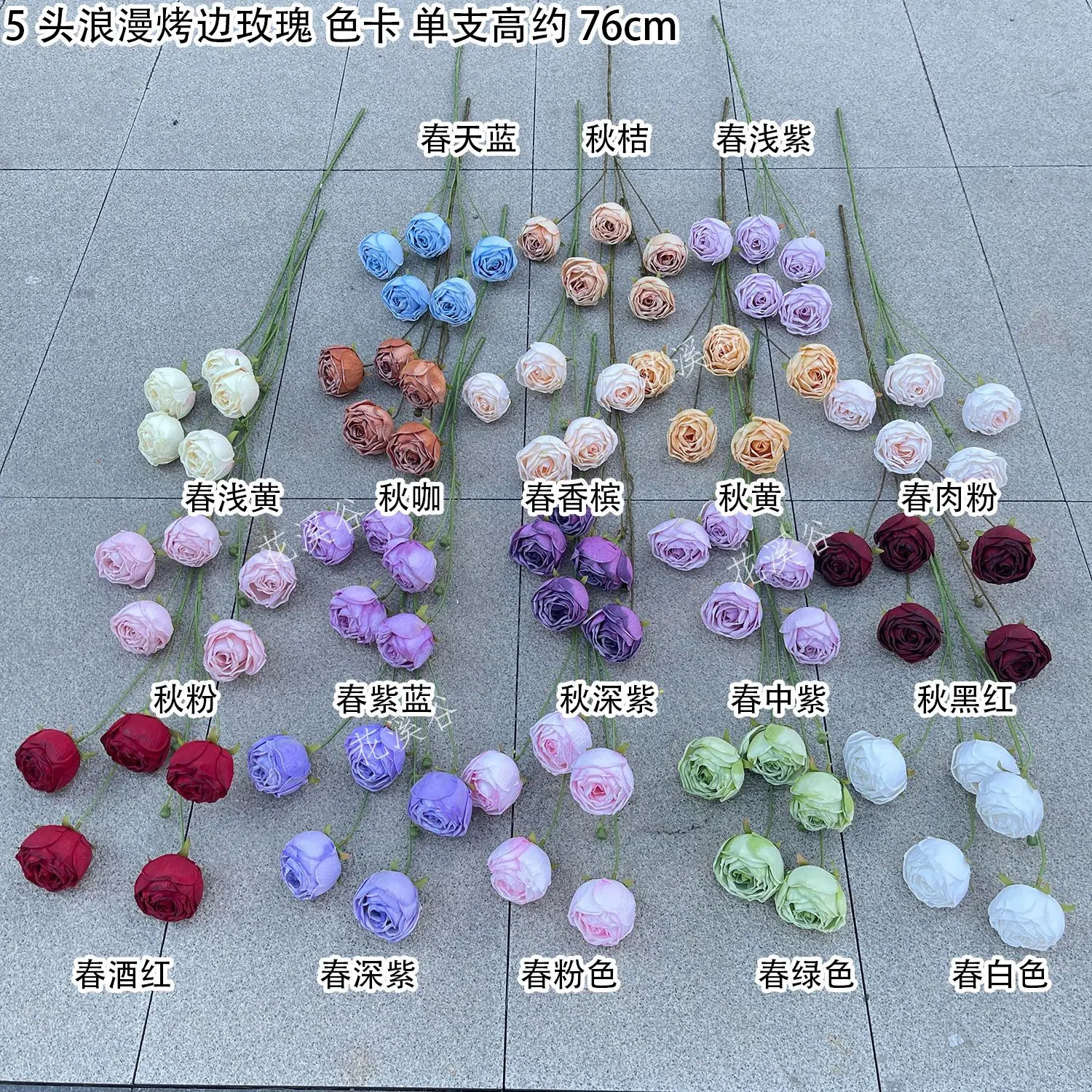 5头浪漫烤边玫瑰 色卡 花溪谷