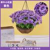 Plantas Colgantes Artificiales Colgantes de Pared Lirio Cesta Pequeña de Flores Flores Falsas Margarita Pequeña Flor de Gloria de la Mañana Rama Decoración del Hogar