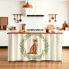Cortina para Tampa de Armário de Cozinha com Tema de Gato Abissínio, Cortina à Mostra à Prova de Poeira para Sapateira, Armário Diversos e Hall de Entrada