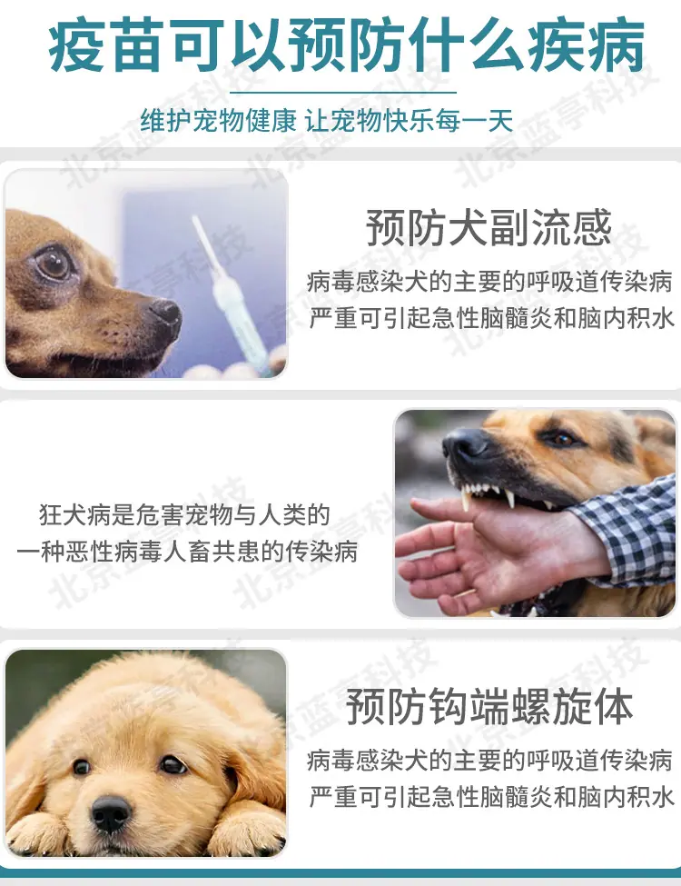 多格多英特威水印_07.jpg