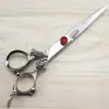 Tesouras Dalong para Cabeleireiro com Acabamento Brilhante de 6,0 polegadas, Tesouras para Cortar Cabelo, Tesouras Retas, Tesouras para Franja, Tesouras Desbastadoras