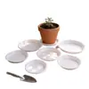 Bandeja redonda verde gruesa para maceta de planta suculenta, bandeja de recogida de agua, base pequeña de plástico para plantas al por mayor