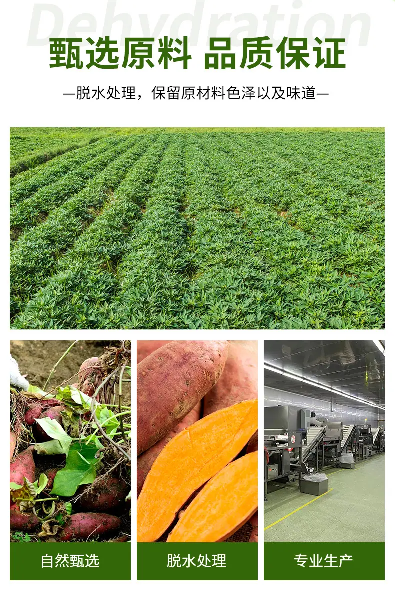 脱水红薯粒_04.jpg