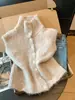 Chaleco de Punto de Cuello Alto de Moda Estilo Coreano para Mujer, Adecuado para Usar en Capas en Otoño e Invierno, para Figuras Pequeñas