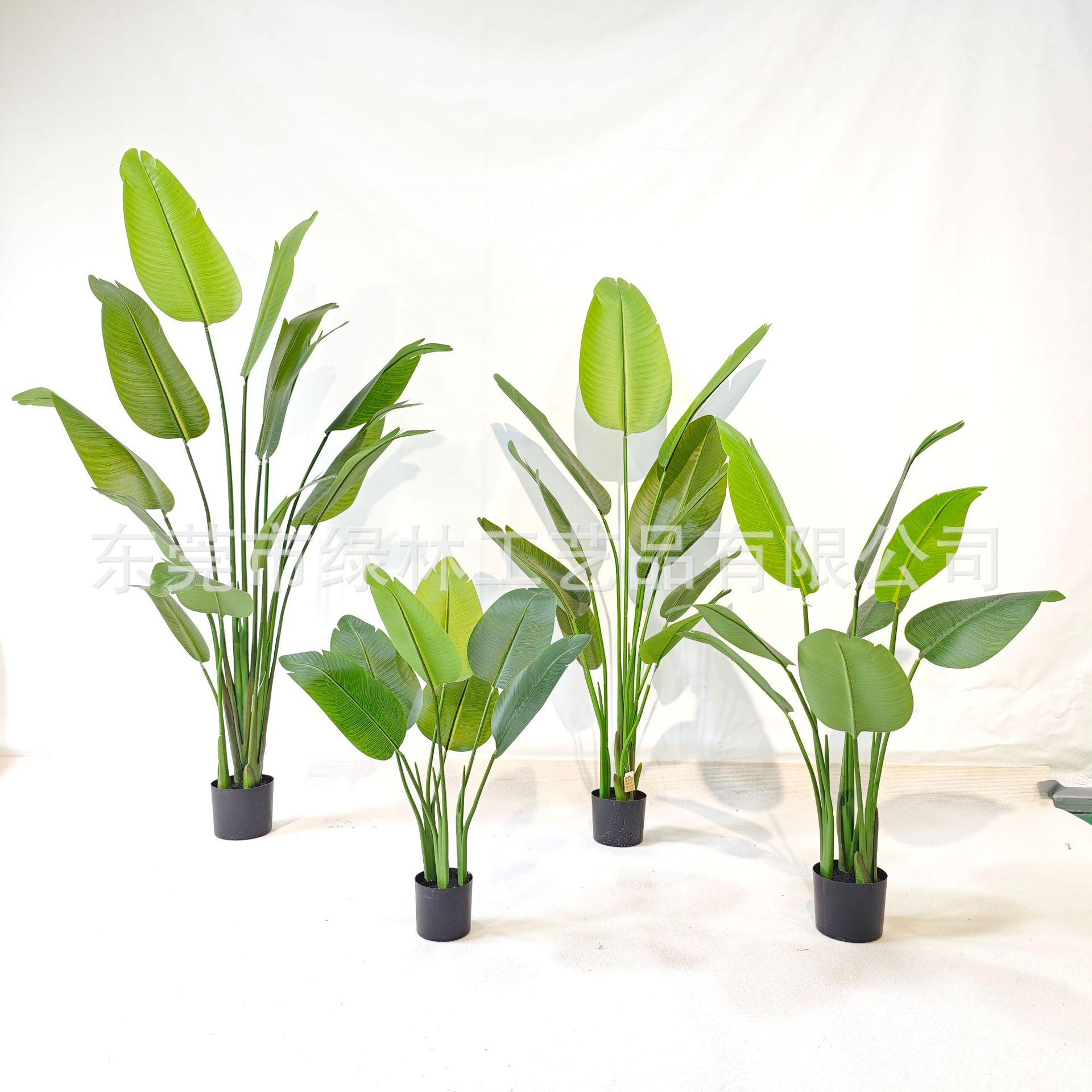 微信图片_20231103154533