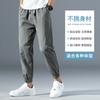 Pantalones de Seda de Hielo para Hombre 2025 Delgados Moda Coreana Delgados Sueltos Cortos Deportivos Secado Rápido Aire Acondicionado Casuales