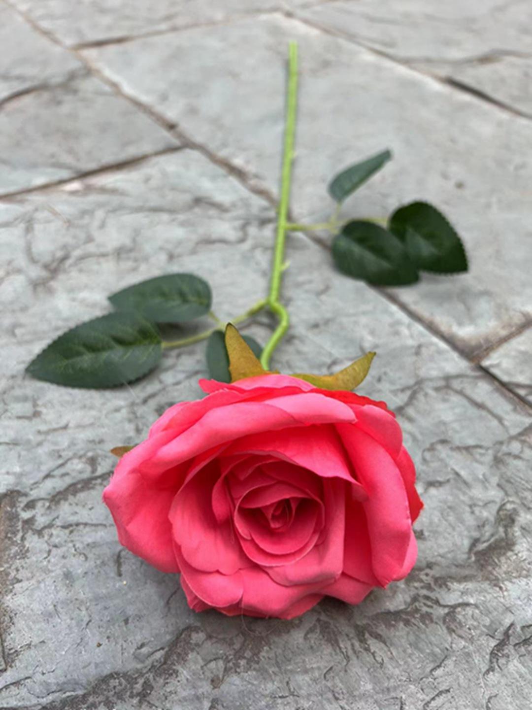 微信图片_20230330113509