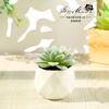 Flor Falsa Suculenta Bonsái Adornos Creativos Fábrica de Flores Artificiales Amazon Dropshipping de Flores Artificiales Planta en Maceta