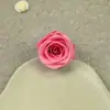 Vida Eterna Grado A 2- 3 cm Rosa Individual DIY Navidad Hecho a Mano Caja de Regalo de Cumpleaños Material para Colgar en el Coche Directo del Fabricante