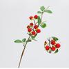 Galhos de Plantas Transfronteiriços, Frutos de Framboesa, Frutas Vermelhas, Flores Artificiais, Arranjos de Flores para Mesa, Buquês Artificiais