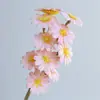 Flores Secas de Yunnan Sementes de Girassol Coladas à Mão Arranjo de Flores Estilo Ins Decoração de Acomodação Doméstica Ornamento de Sala de Estar Arranjo de Flores