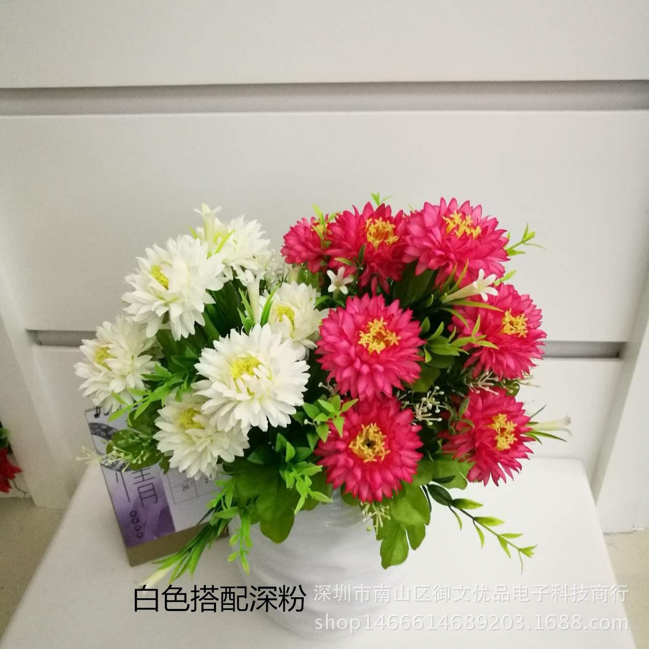 9头绿百合海葵 白色搭深粉_副本