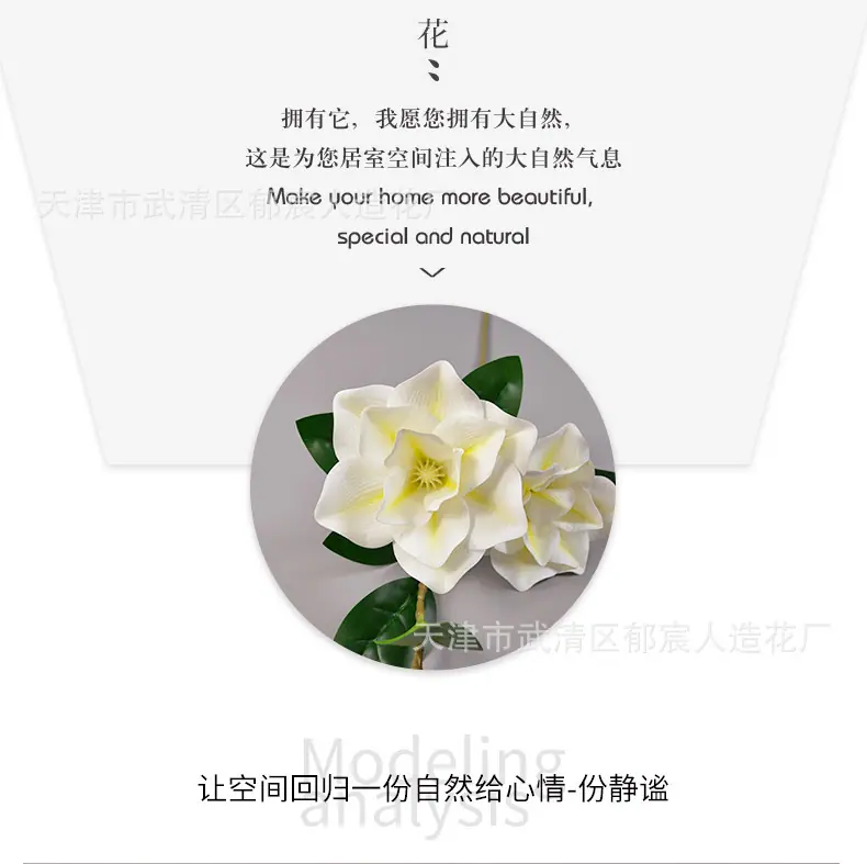 详情_05.jpg
