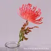 Casa de casamento flor de simulação de plástico flor de almofada de alfinetes de simulação única flor de império sul-africana flor artificial fornecimento