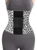 Cinto Abdominal Esportivo Fixo de Alta Elasticidade Grande Tamanho Transfronteiriço para Mulheres, Modelagem de Barriga Fitness, Cinto Pós-Parto para Modelagem Corporal de Mulheres