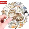 50 Pegatinas de Gato Lindas de Acuarela de Compra Directa Transfronteriza, Adorables Pegatinas de Gato Mascota para Botellas de Agua, Diarios, Tabletas, Pegatinas Impermeables de PP