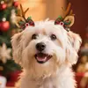 Novos Acessórios de Natal para Pets Grampo de Cabelo de Alce Cartoon Decoração de Festa de Natal para Cães e Gatos Pequeno Presépio Clip