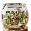 Acuario Redondo de Plástico para Peces Pequeños, Imitación de Vidrio de una Pieza, Anticaída, Resistente a Caídas, Pequeño Tanque Ecológico de Escritorio para Sala de Estar