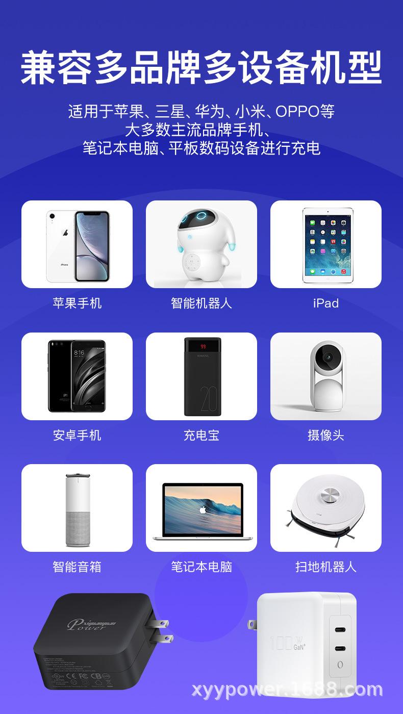 PD100W氮化镓C+C美规