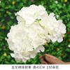 Ramo de Boda Artificial Blanco Venta al por Mayor Suministros Florales Decorativos Flores de Seda Arreglo de Flores Artificiales Flores Falsas Phalaenopsis de Plástico