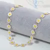 Collar Nuevo de Margarita Europeo y Americano Cadena para Clavícula de Diseño Creativo Celebridad de Internet Joyería de Alta Gama de Moda para Mujer Venta al por Mayor