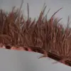 Tecido de Pena de Avestruz Atacado com Borda de Pena de 8-10cm Tiras de Tecido Acessórios para Roupas Saias Materiais de Decoração de Franjas DIY