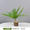 Plantas Verdes Artificiais, Samambaia Cauda de Fênix, Samambaia Persa, Série Floresta de Paisagismo, Paisagismo para Vitrines, Paisagismo para Shoppings, Samambaia Aspargo