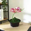 Artículo Popular Transfronterizo: Bonsái de Orquídea Phalaenopsis Mini Artificial para Escritorio, Tacto Realista, Flor Artificial Planta Verde Decoración en Maceta