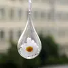3-90cm Bola de Plástico Transparente Decorativa Navideña Bola Navideña Flor Eterna Bola Redonda Hueca Bola Decorativa Colgante de Acrílico