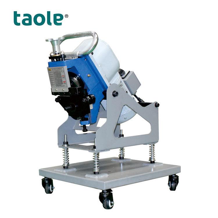 GBM-6D-T