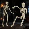 40cm Crânio Humano Artificial em Pé Esqueleto Pendurado Evento de Festa de Halloween Decoração Arranjo Casa Assombrada Bar Assustador
