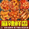 Pulpo Picante Cabeza Grande Listo para Comer Mariscos Pequeños Mala Pulpo Fresco Enlatado Abalón Ostras Platillos para Comer con Arroz