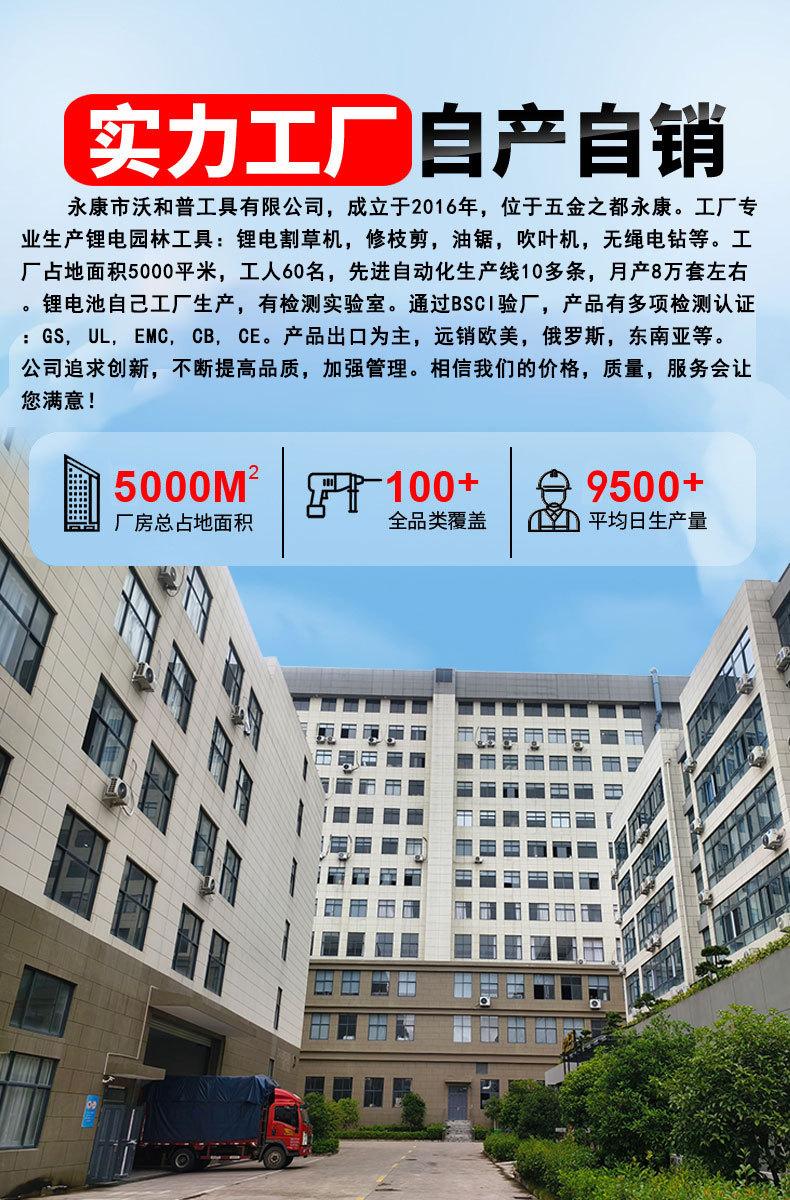 公司介绍