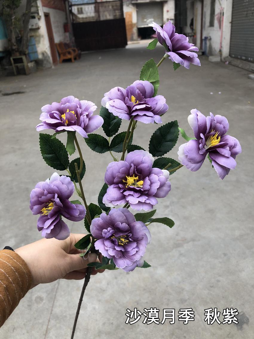 微信图片_20190121160944