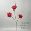 Decoração de Casamento com Materiais Florais Vermelho-Rosa, Folhas Artificiais, Rosas e Arranjos Florais para o Salão do Casamento e Painel de Fundo